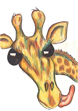 Drawings