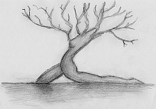 Drawings