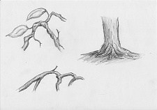 Drawings